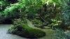 3 Hour Japanese Fountain Shishi Odoshi Sound For Relaxing And Healing