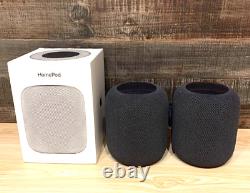 APPLE HOMEPOD Gray, set of 2, sound quality excellent USED MQHW2J/A from JAPAN