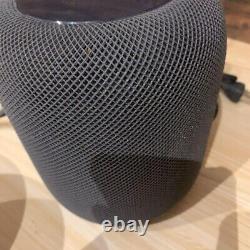 APPLE HOMEPOD Gray, set of 2, sound quality excellent USED MQHW2J/A from JAPAN