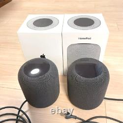 APPLE HOMEPOD Gray, set of 2, sound quality excellent USED with Box from JAPAN