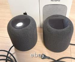 APPLE HOMEPOD Gray, set of 2, sound quality excellent USED with Box from JAPAN
