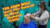 Asmr Barber Mr Miwa From Izumi Hair Sunwolf Patrick S Shampoo Preview Trailer