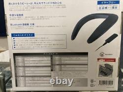 Audin Sound Sp-06 from Japan