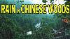 Rain In Chinese Woods Ambient Noise For Relaxation Sleep Studying Ultizzz Day 38