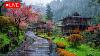 Relaxing Feeling From Rain Sound In Japanese Garden Rain Help Comfort Your Sleep After Tired