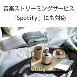 SONY LSPX-S2 Bluetooth Speaker Glass Sound Speaker From Japan