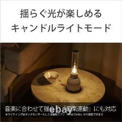 Sony Glass Sound Speaker LSPX-S3 Bluetooth USB LED Candle Light DHL from Japan