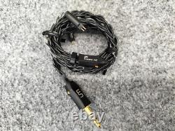Unique Melody MASON? ×DIGNIS earphones from Japan Used good sound